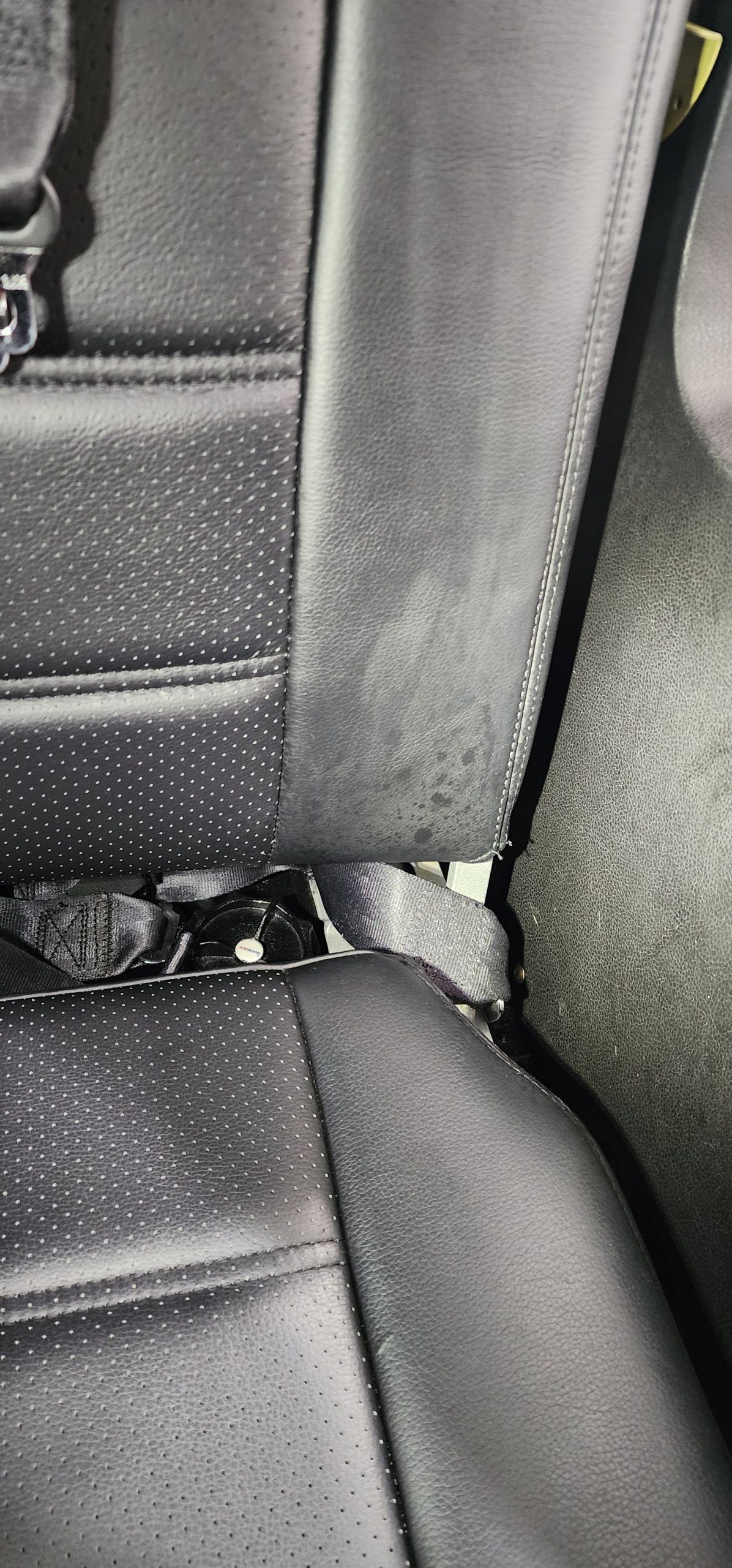 Beforer Rear Seat